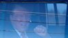 Trump Arrives at Hearing on Whether to Dismiss Classified Documents Case