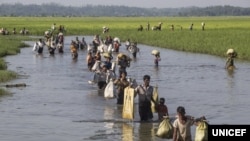 ရိုဟင်ဂျာဒုက္ခသည်များ ဘင်္ဂလားဒေ့ရှ်နယ်စပ်ဘက်ကို ထွက်ပြေးလာစဉ်