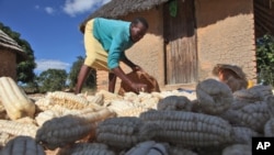 The U.N. Food and Agriculture Organization (FAO) says chronic hunger remains highest in sub-Saharan Africa, where one in four people is malnourished. (File photo) 