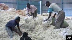 Bayan rigingimun siyasar kasar Kenya an farfado da fannin gona.