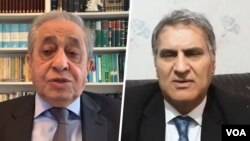 منوچهر بختیاری از ایران و حسن شریعتمداری از آلمان در گفت‌وگو با صدای آمریکا به این قرارداد واکنش نشان دادند. 
