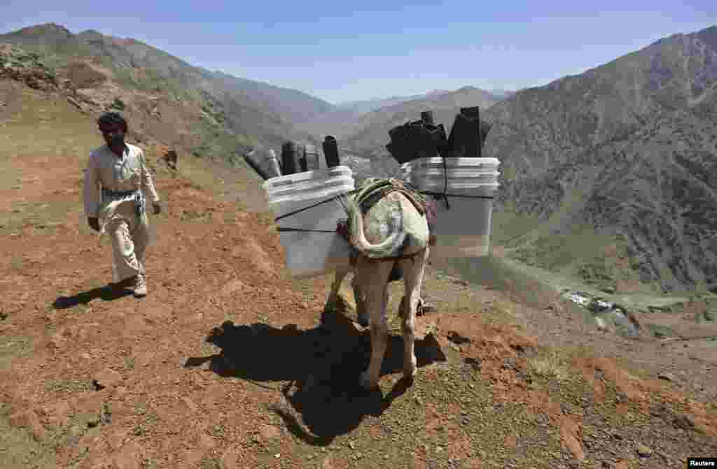 A man loads ballot boxes and other election material onto a donkey to be transported to polling stations not accessible by road, in Shutul, Panjshir province, June 13, 2014. 