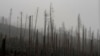 Tormenta causa estragos en Europa