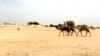 Des affrontements entre éleveurs et cultivateurs tchadiens font 9 morts