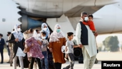 عکس(ارشیف)