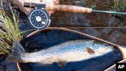 釣魚運動 有助舒緩疫情壓力