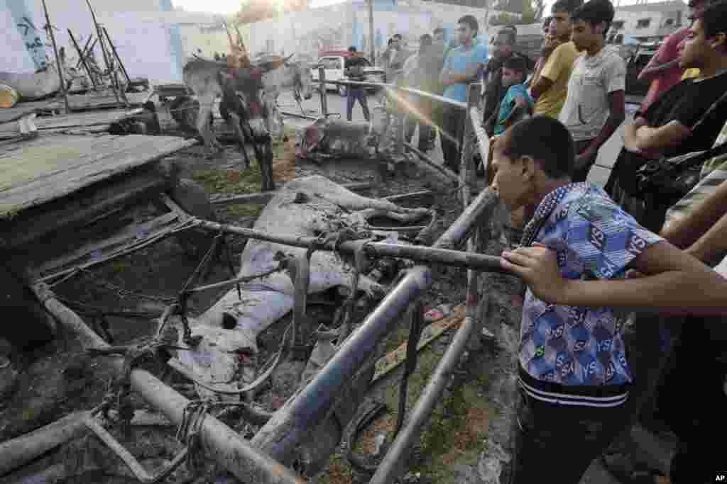 Palestinians look at donkeys that were killed by an Israeli strike earlier in the day at the adjacent Abu Hussein U.N. school seen in background, in Jebaliya refugee camp, northern Gaza Strip, July 30, 2014. 
