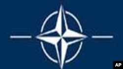 NATO Logo