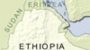 Ethiopian Newspaper Shuts Down, Editors Flee 