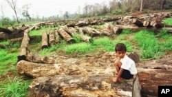 Experts say as little as 30 percent of the country’s forest cover remains, while logging continues to be a problem.
