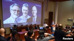 Thomas Perlmann, of the Nobel Committee, presents the Nobel laureates, William G. Kaelin Jr, Sir Peter J. Ratcliffe and Gregg L. Semenza, of this year's Nobel Prize in Medicine during a news conference in Stockholm, Sweden, October 7, 2019. (Reuters)