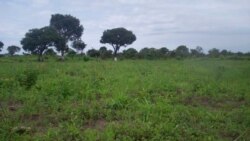 Crise agrícola em Benguela – 2:05