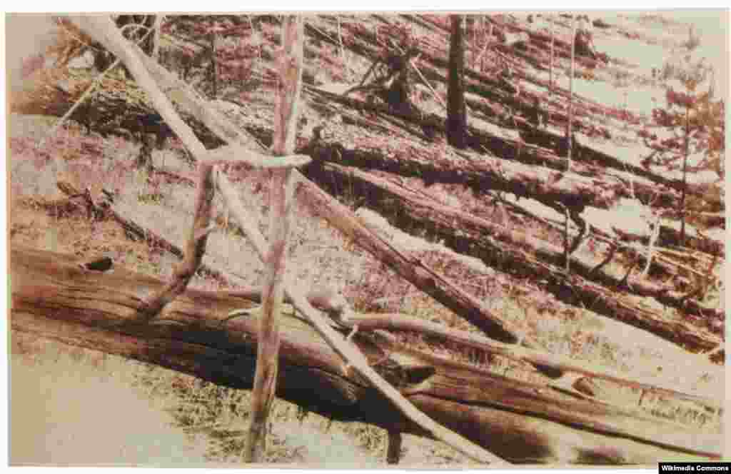 1908-yilda ham meteorit tushganida daraxtlarni kuydirib yuborgan.