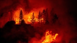 Incendios forestales en el oeste de EE.UU. dejan al menos 7 muertos