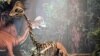 Remains of Bird-Like Dinosaur Species Identified in North America