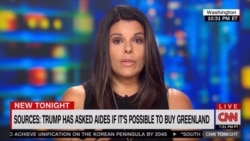 CNN 안보 전문기자, 비비안 살라마.