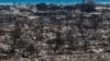 Hawaii Fires Power Lines