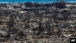 Hawaii Fires Power Lines