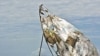 Kenyan Community Fishes For Answers to Drought Problem