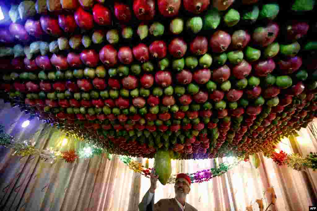 Seorang pria berdiri di bawah sebuah 'Sukkah' yang terbuat dari buah-buahan di dalam rumahnya selama perayaan liburan tradisional 'Sukkot' di Gunung Gerizim, utara Nablus, Tepi Barat.