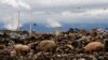 Environmental Groups Cite Coal Ash Pollution in Call for Tighter Regulation