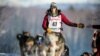 Pandemic Forces Route Change, Other Precautions for Iditarod Sled Dog Race