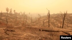 Colinas calcinadas al oeste de Redding, California, EE.UU. el 28 de julio de 2018, luego del paso del incendio Carr que ha dejado hasta ahora 5 víctimas, entre ellas una anciana y sus dos bisnietos. Más de 38.000 personas han sido evacuadas. REUTERS / Bob Strong -