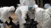 Study Links Flu Pandemics to La Niña