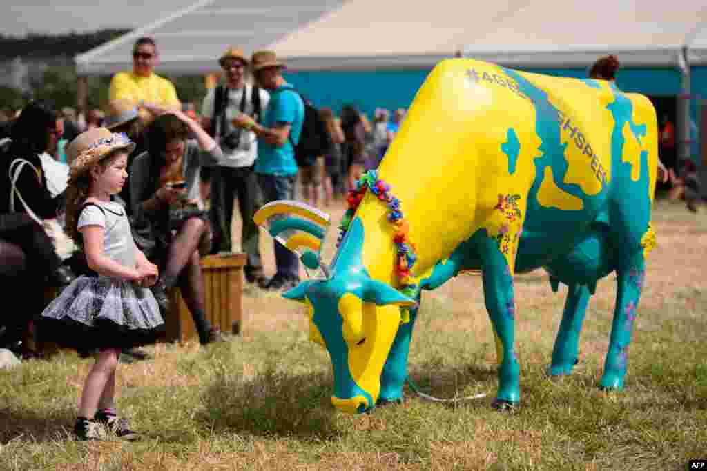A child stands beside a plastic cow provided by a mobile telecoms company enabling free wifi for festival goers as revelers gather ahead of this weekend's Glastonbury Festival of Music and Performing Arts on Worthy Farm near Pilton in Somerset, south west England.
