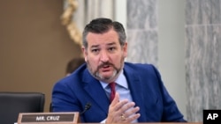 Senador Ted Cruz