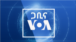 በመላው ዓለም የሚገኙ ስደተኞችን ለማቋቋም ዓለም ቃል ገብቷል