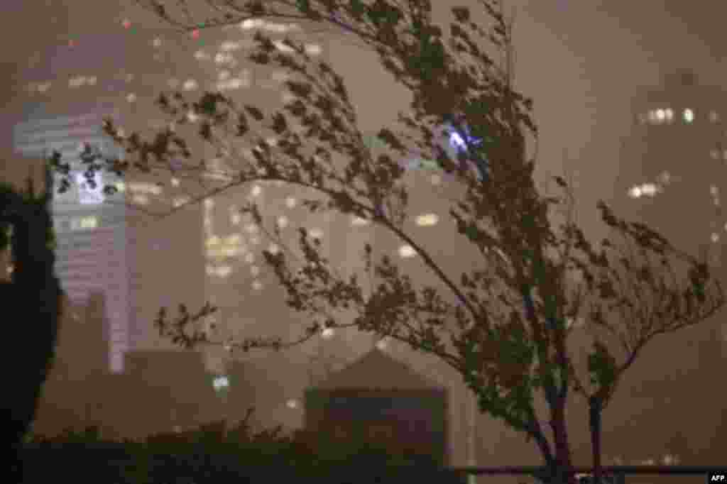 Trees blow in a gust of wind, early Sunday, Aug. 28, 2011, in New York as Hurricane Irene approaches the region. Irene has the potential to cause billions of dollars in damage along a densely populated arc that includes Washington, Baltimore, Philadelphia
