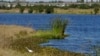 Trump's Rollback of US Water Protections Nears Completion
