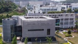 美國重量級參議員呼籲繼續新冠病毒溯源、制裁中國