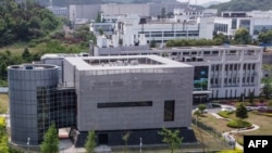 资料照片：中国武汉病毒学研究所（2020年4月17号）。