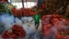 Zika Feared to Be Greater Health Threat Than Ebola