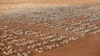 IRC Chief: Displaced Need 'Something Better than Camps'