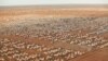 Kenya Draws Up Timetable to Close Refugee Camp for Somalis