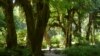 Mountains, Beaches, Rainforests - This Park Has It All