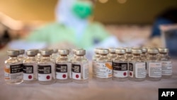 The Sinovac Covid-19 coronavirus vaccine (Photo by JUNI KRI