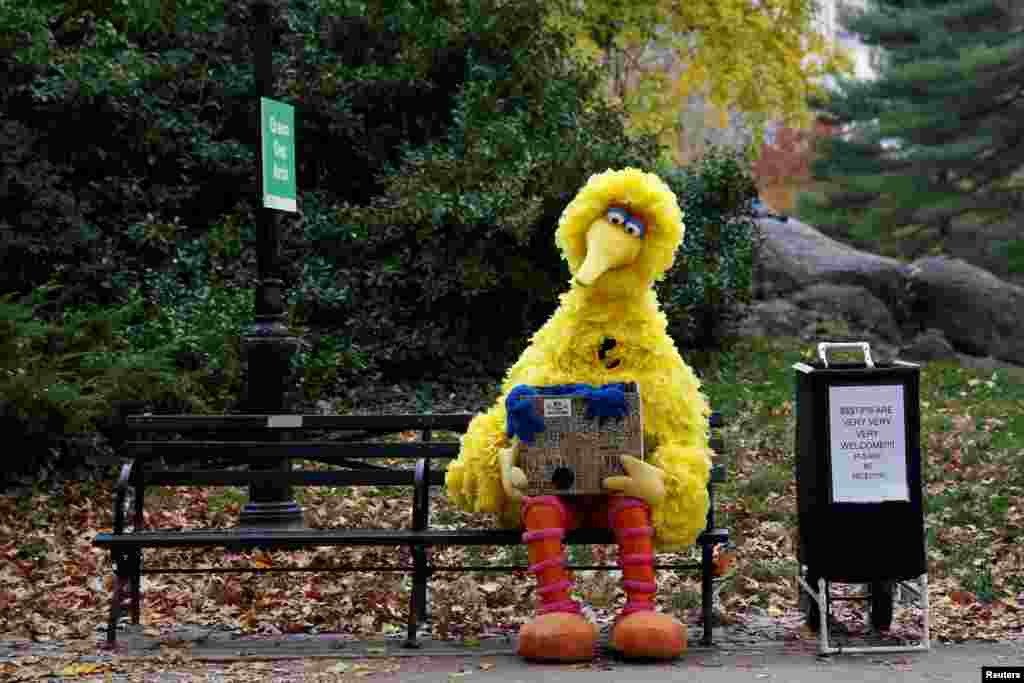 Seorang pria memakai kostum karakter dalam 'Sesame Street' menunggu pengunjung Central Park di New York untuk meminta foto bersama.