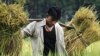Report Calls for End to Hunger in a Generation