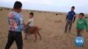 The Naadam Festival of Mongolia: Tradition Corrupted by Business