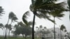 Tropical Storm Eta Likely to Arrive as Hurricane in Florida Late Sunday