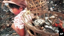 La OIT designó el 12 de junio como Día mundial contra el trabajo infantil, para promover el respeto hacia los derechos de los niños.