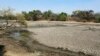 The carcass of a buffalo lies on the edges of a dry pool that used to be a perennial water supply in Mana Pools National Park, Zimbabwe, Oct. 27, 2019. 