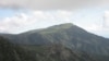 Coffee and Conservation: Mozambique Tries Both on a Mountain