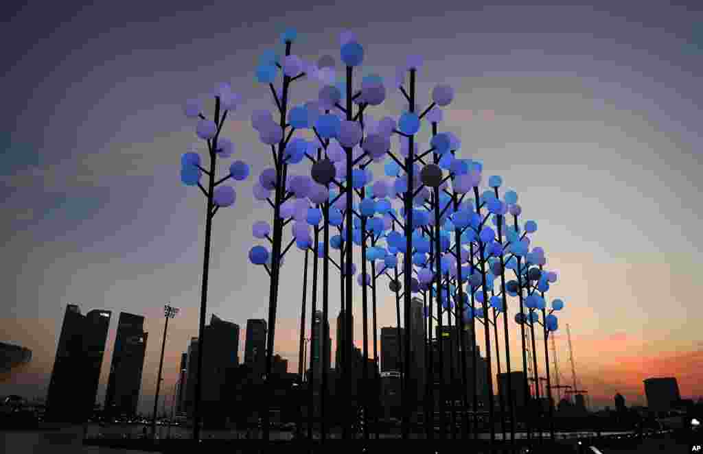 A light installation titled "Digital Wattle" which is an adaptation from Australia's floral emblem is illuminated with Singapore's financial skyline silhouetted in the background, in Singapore.