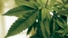Two Illegal Drugs May Soon Be Legal Medicine in US