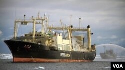Kapal penangkap paus Jepang "Nisshin Maru" diiikuti oleh kapal "Bob Barker" milik aktivis anti perburuan paus "Sea Sheperd" (kanan) untuk menghalangi perjalanan mereka menuju perairan Antarktika (Foto: dok).